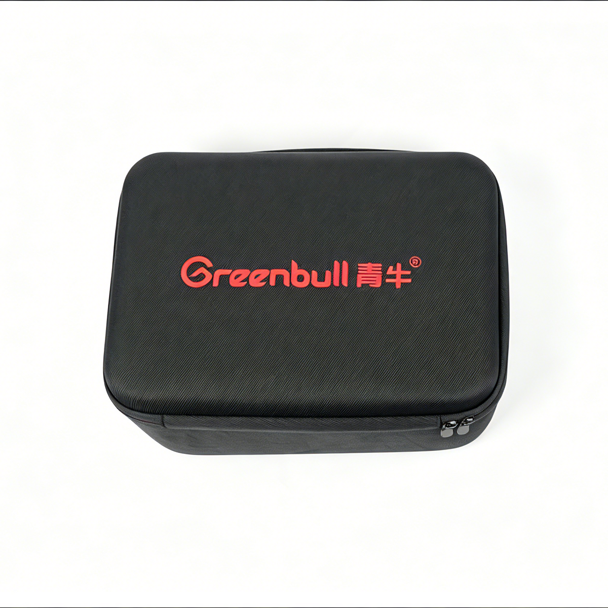 Remote control carrying case